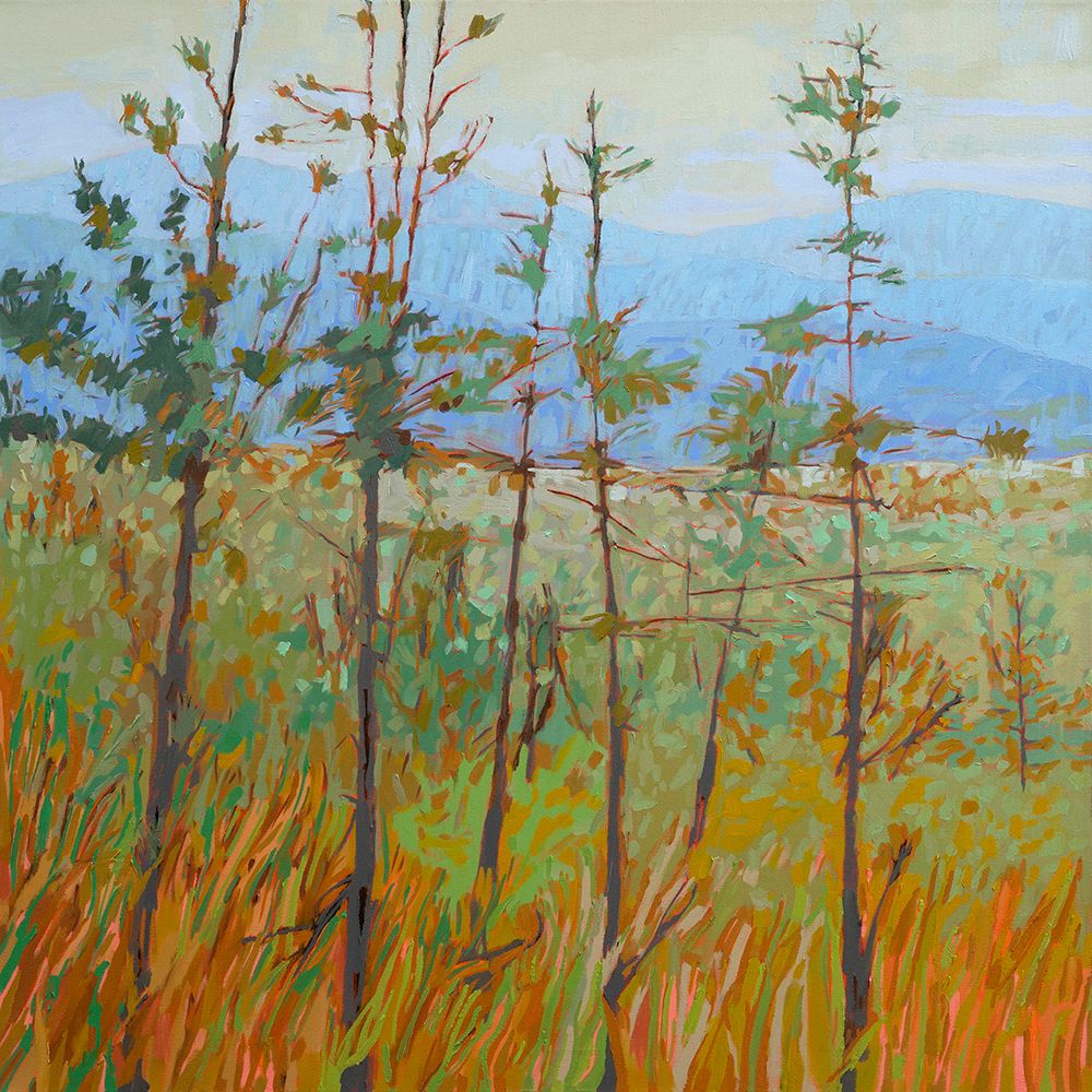 The Blue Ridge art print by Jane Schmidt for $57.95 CAD