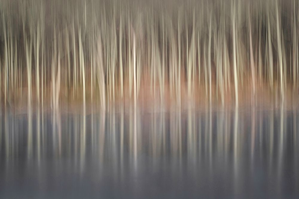 Winter Reflection art print by Kelly Sinclair for $57.95 CAD