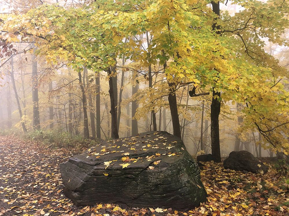 Resting Rock art print by Kelly Sinclair for $57.95 CAD