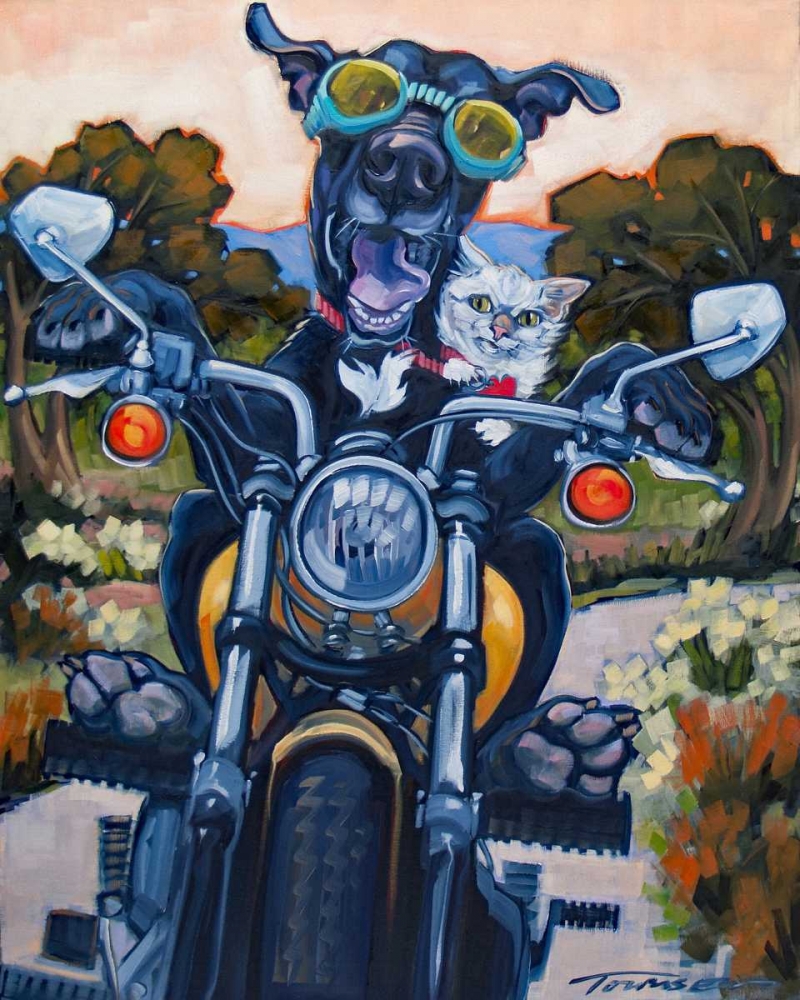 Under an Orange Sky art print by Connie R. Townsend for $57.95 CAD