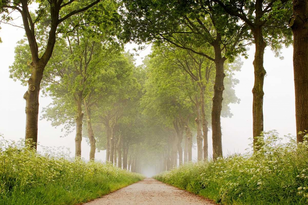 This Appears art print by Lars Van de Goor for $57.95 CAD
