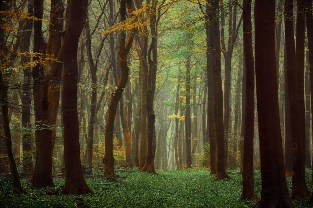 Arriving Nowhere art print by Lars Van de Goor for $57.95 CAD