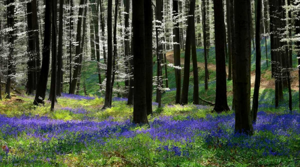 Blue Silver art print by Lars Van de Goor for $57.95 CAD