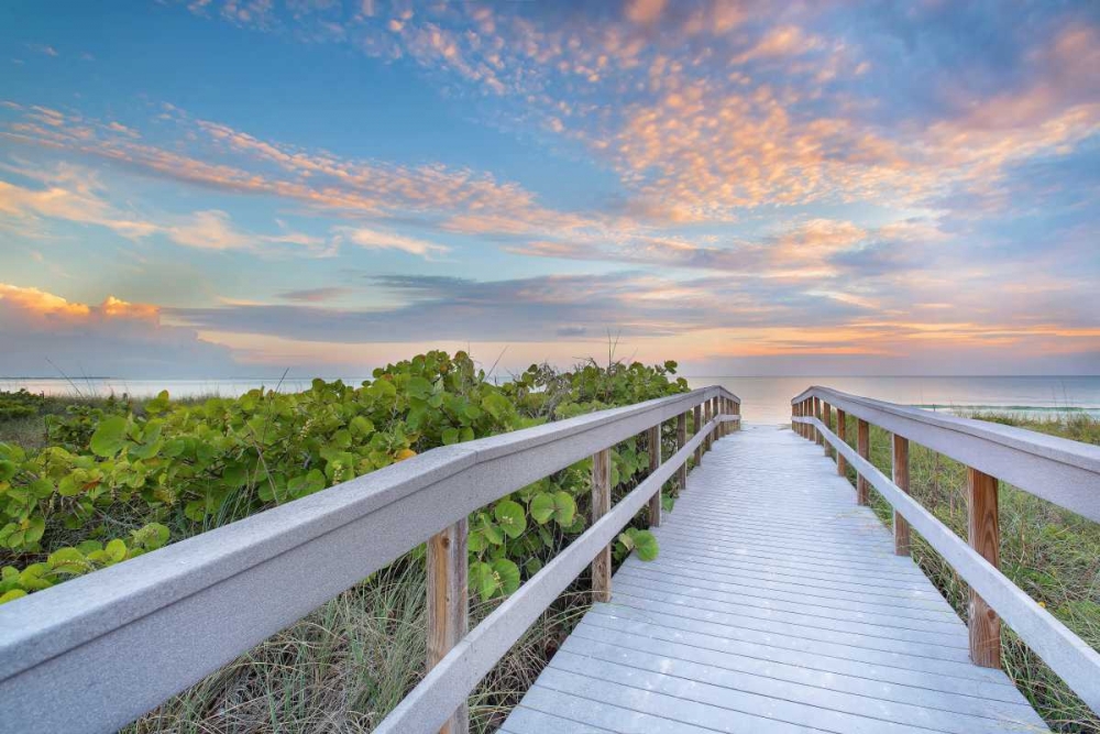The Walk To Sunset Beach art print by Andrew Vernon for $57.95 CAD