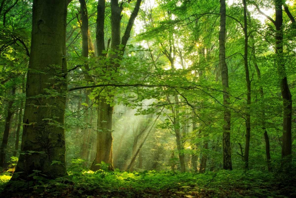 Breathe art print by Lars Van de Goor for $57.95 CAD