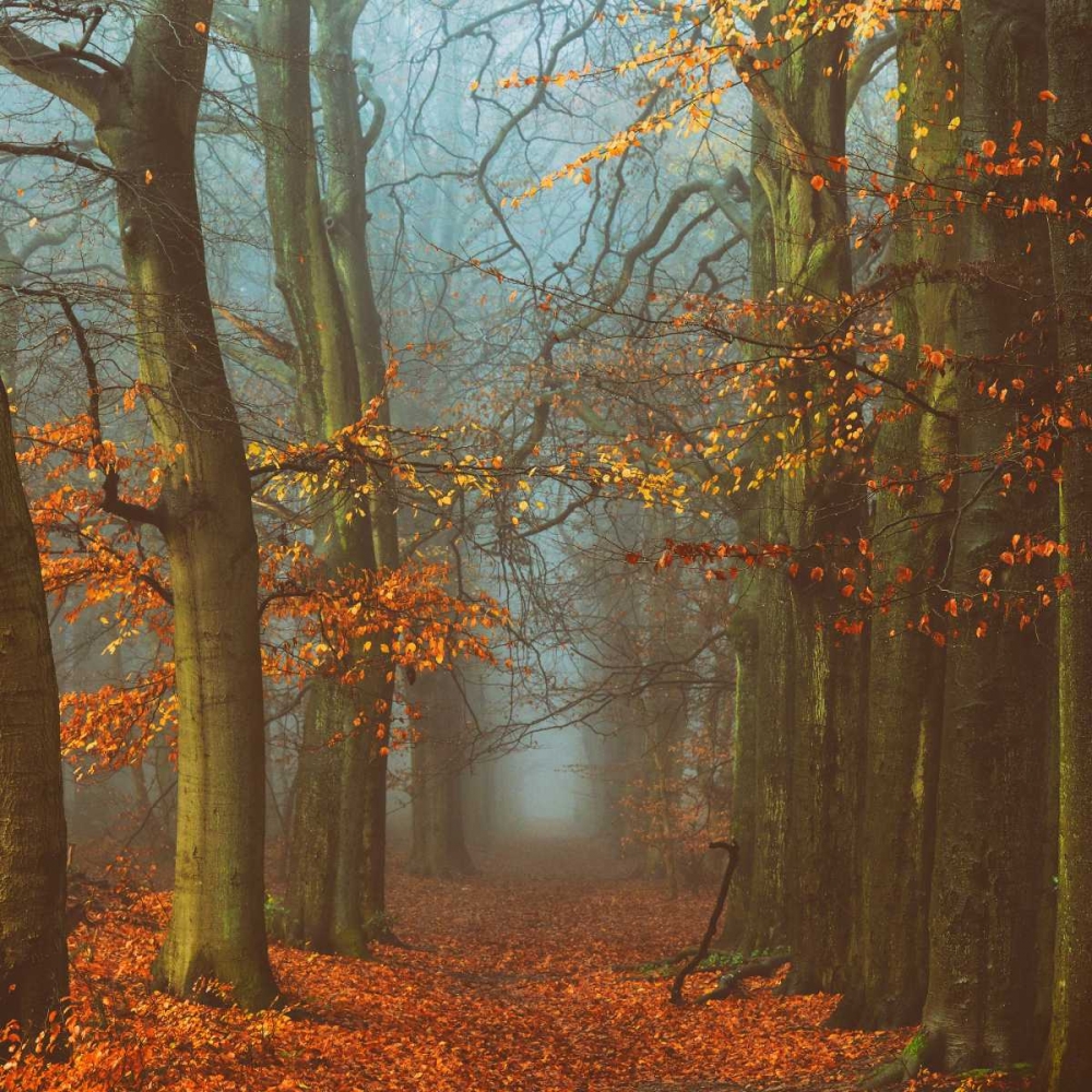 Path of The Mystics art print by Lars Van de Goor for $57.95 CAD