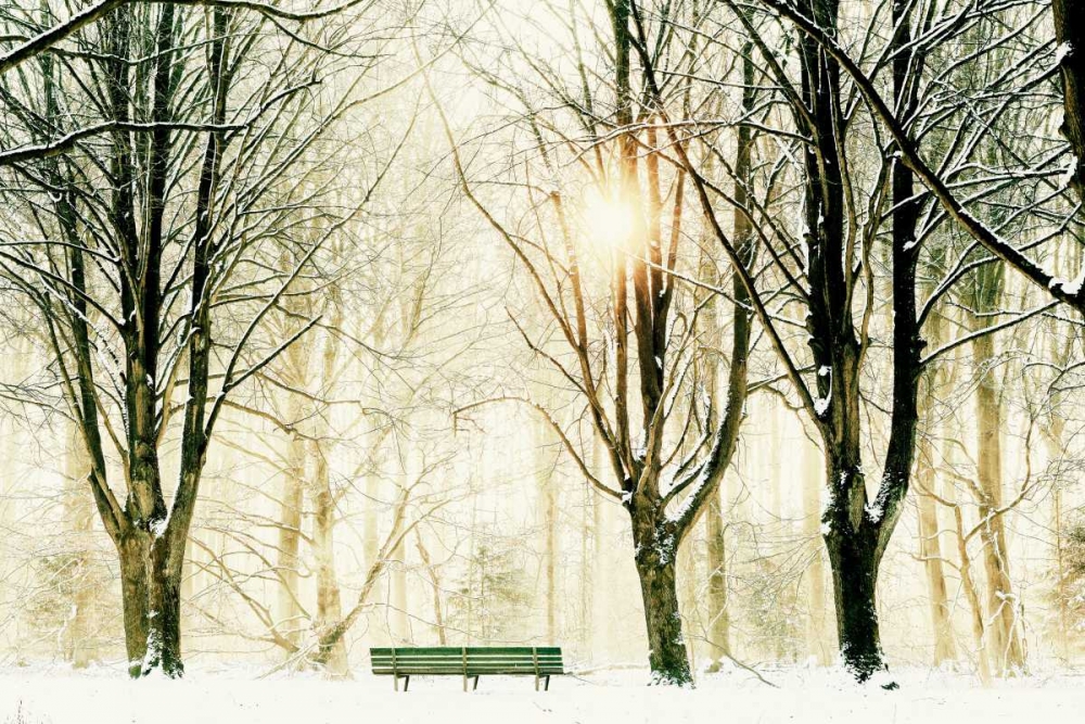 Too Cold To Sit art print by Lars Van de Goor for $57.95 CAD