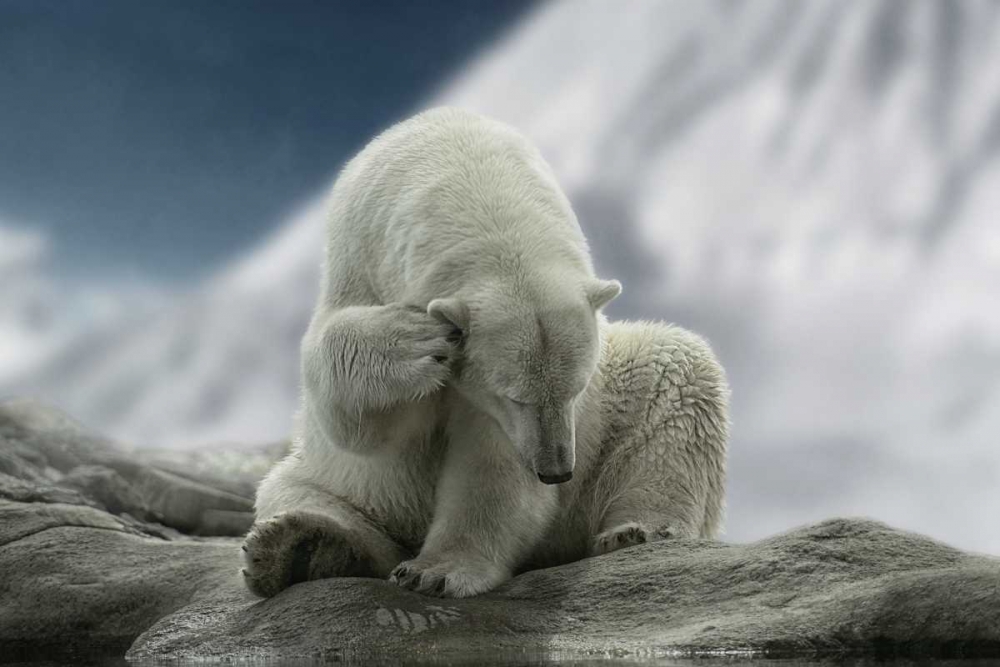 Itching Ear art print by Lars Van de Goor for $57.95 CAD