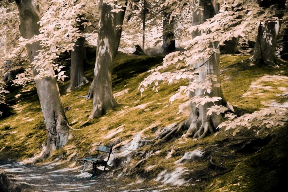 A Fine Place to Rest art print by Lars Van de Goor for $57.95 CAD