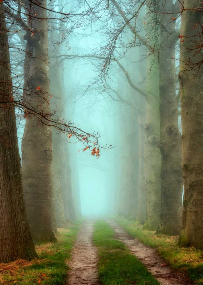 Blue Mist art print by Lars Van de Goor for $57.95 CAD