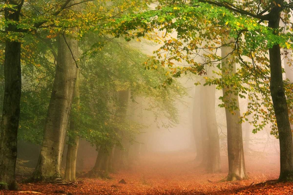Dreambridge art print by Lars Van de Goor for $57.95 CAD