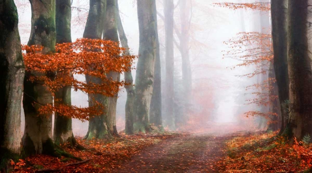 Last Guide before the Mist art print by Lars Van de Goor for $57.95 CAD