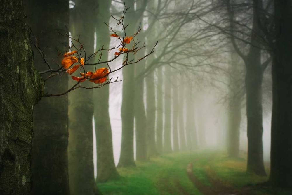 Old and New art print by Lars Van de Goor for $57.95 CAD