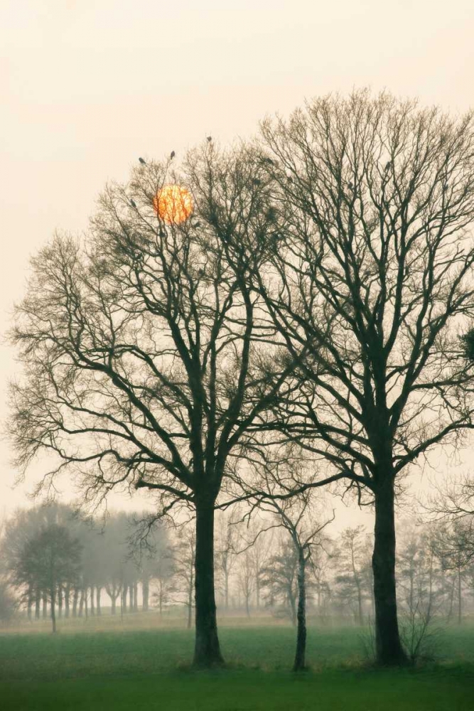 Preparing for Sunset art print by Lars Van de Goor for $57.95 CAD