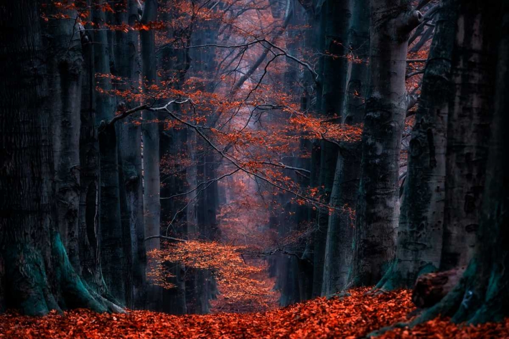 Synapse art print by Lars Van de Goor for $57.95 CAD