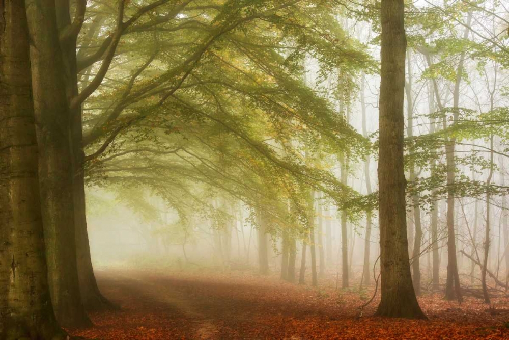 Dreamwalkers art print by Lars Van de Goor for $57.95 CAD