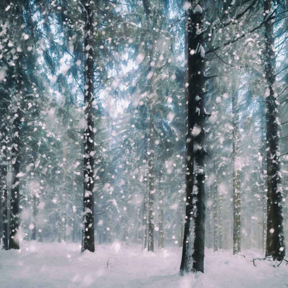 Flakes art print by Lars Van de Goor for $57.95 CAD