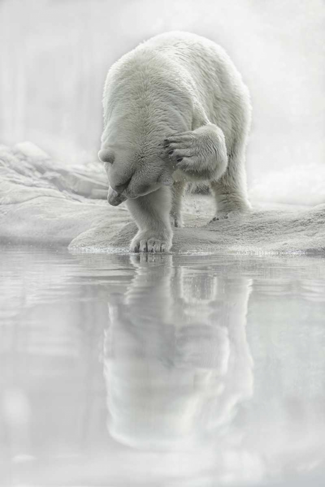 How Do I Look art print by Lars Van de Goor for $57.95 CAD
