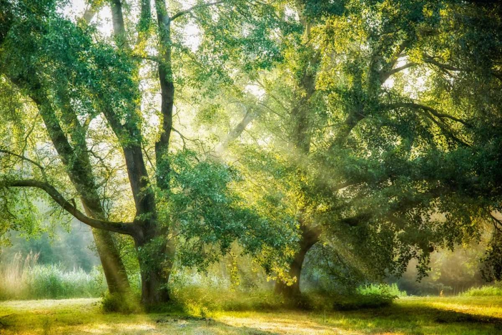 Receiving and Giving art print by Lars Van de Goor for $57.95 CAD