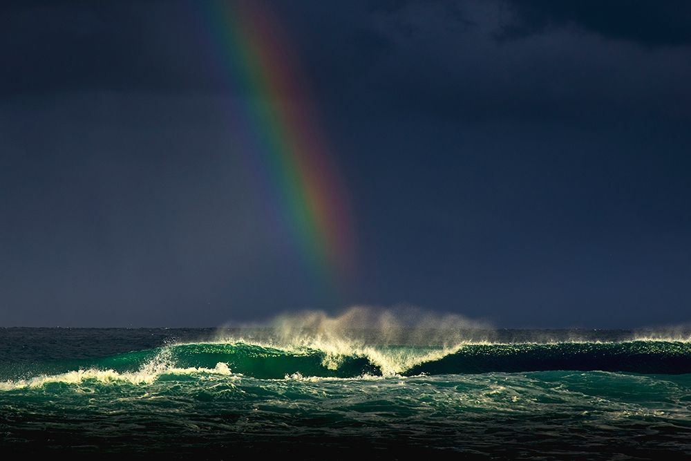 Divine Wave art print by Verne Varona for $57.95 CAD
