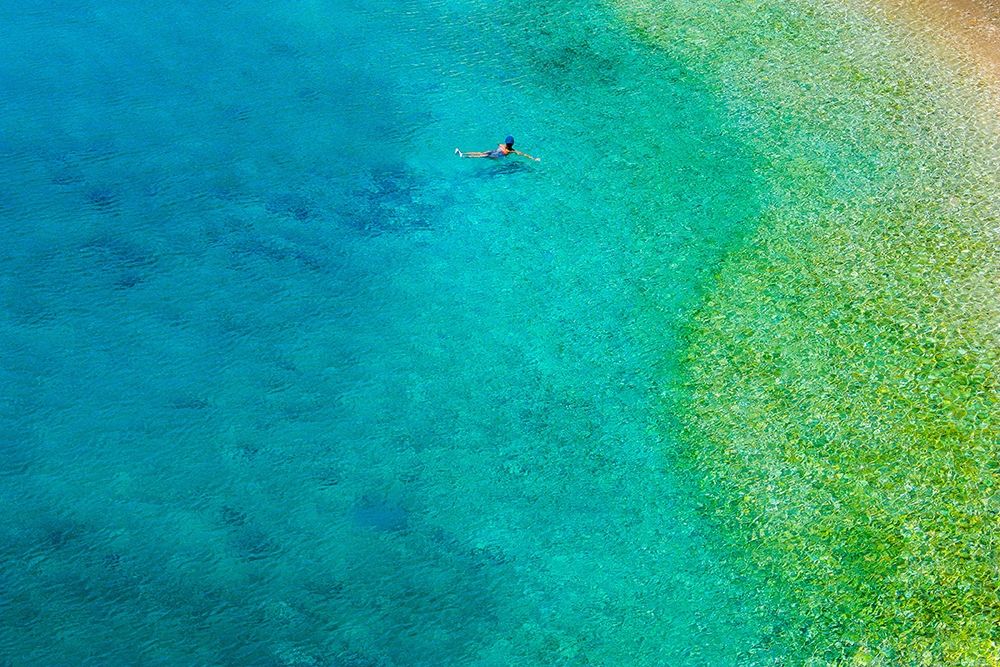 Solo Swim art print by Verne Varona for $57.95 CAD