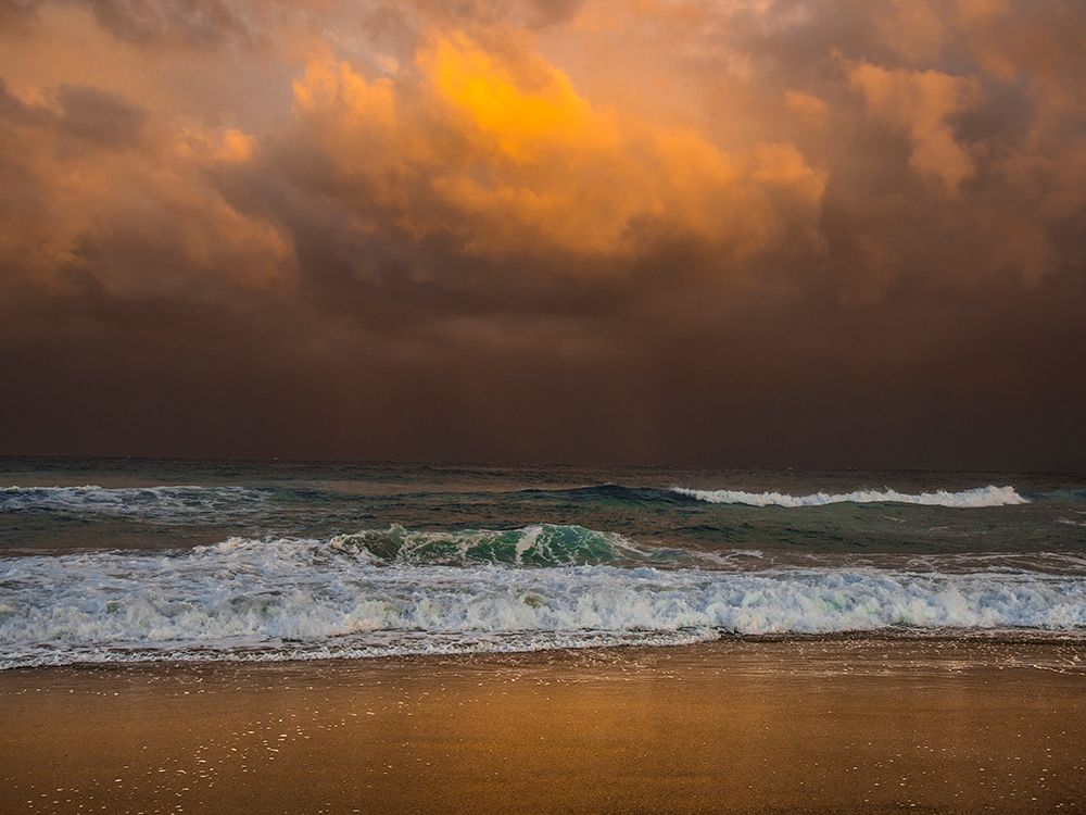 Shoreline Gold art print by Verne Varona for $57.95 CAD