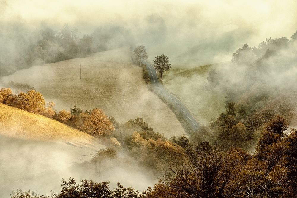 Awakening Fields art print by Lars Van de Goor for $57.95 CAD