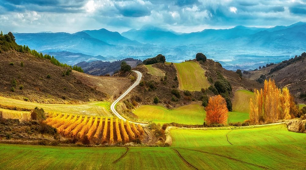 Navarra art print by Lars Van de Goor for $57.95 CAD
