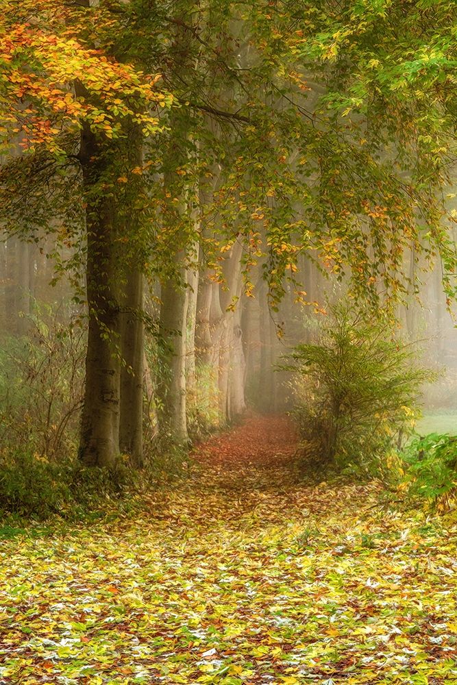 Poetree art print by Lars Van de Goor for $57.95 CAD