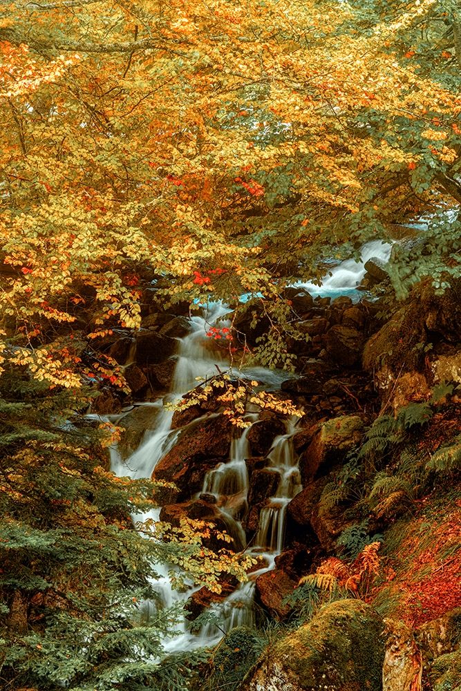Hidden Waterfall art print by Lars Van de Goor for $57.95 CAD