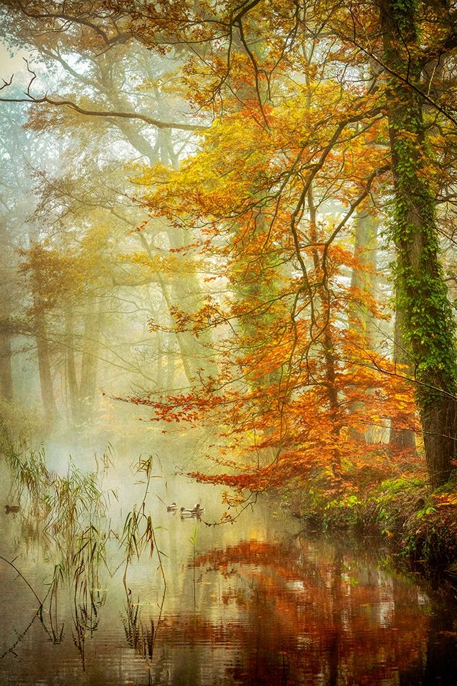 In Romance art print by Lars Van de Goor for $57.95 CAD