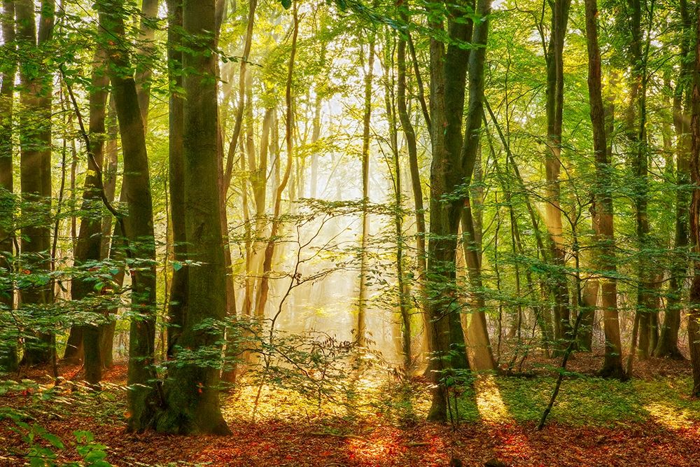 Power Beam art print by Lars Van de Goor for $57.95 CAD