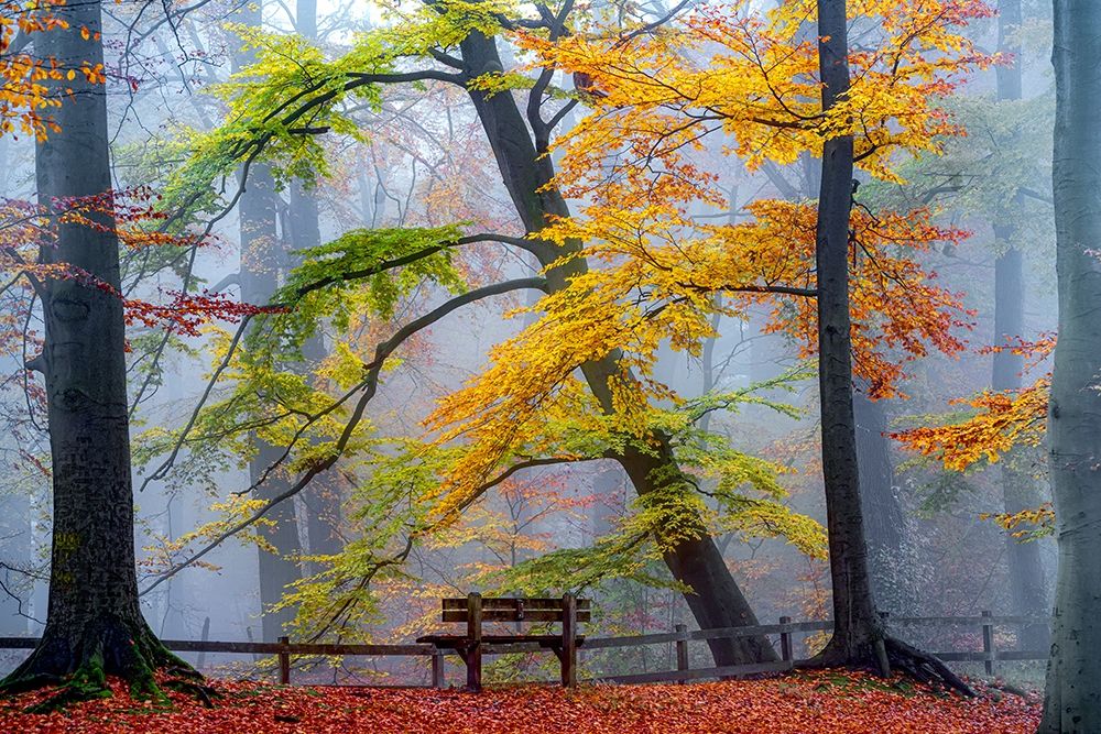 Take A Seat And Enjoy art print by Lars Van de Goor for $57.95 CAD