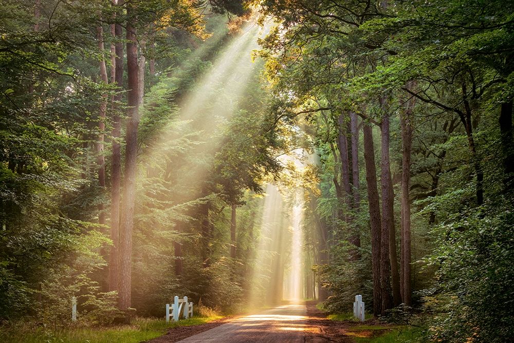 This Beam is Booming art print by Lars Van de Goor for $57.95 CAD