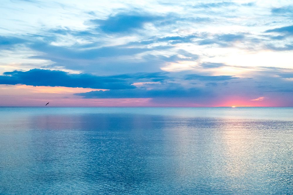 Calm art print by Verne Varona for $57.95 CAD