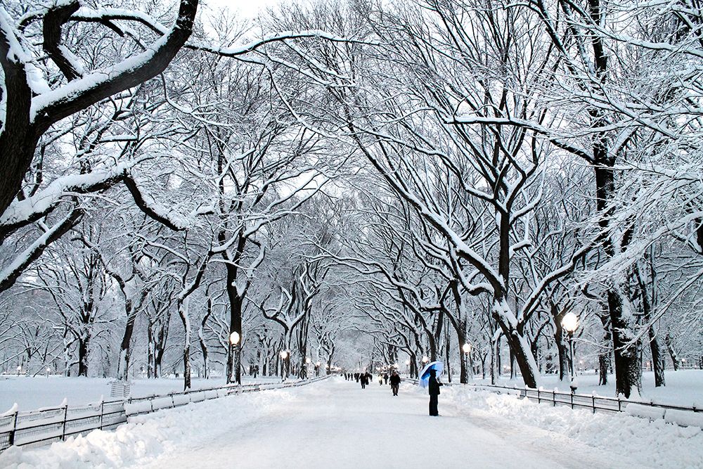 White Wonder art print by Verne Varona for $57.95 CAD