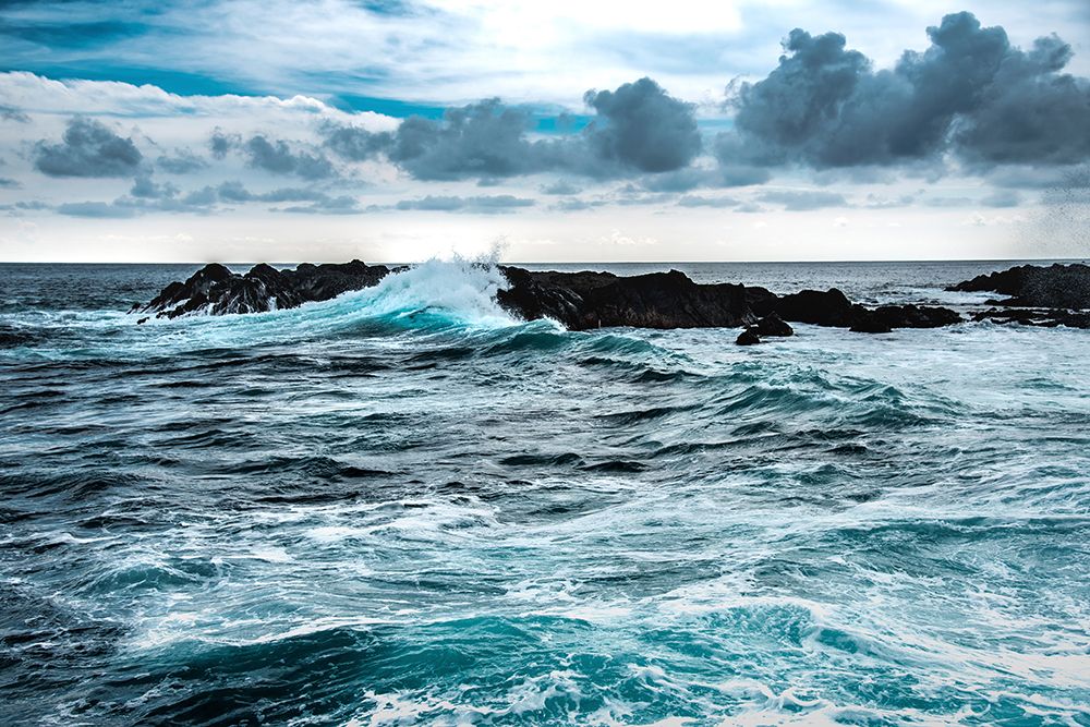 Wind and Wave art print by Verne Varona for $57.95 CAD