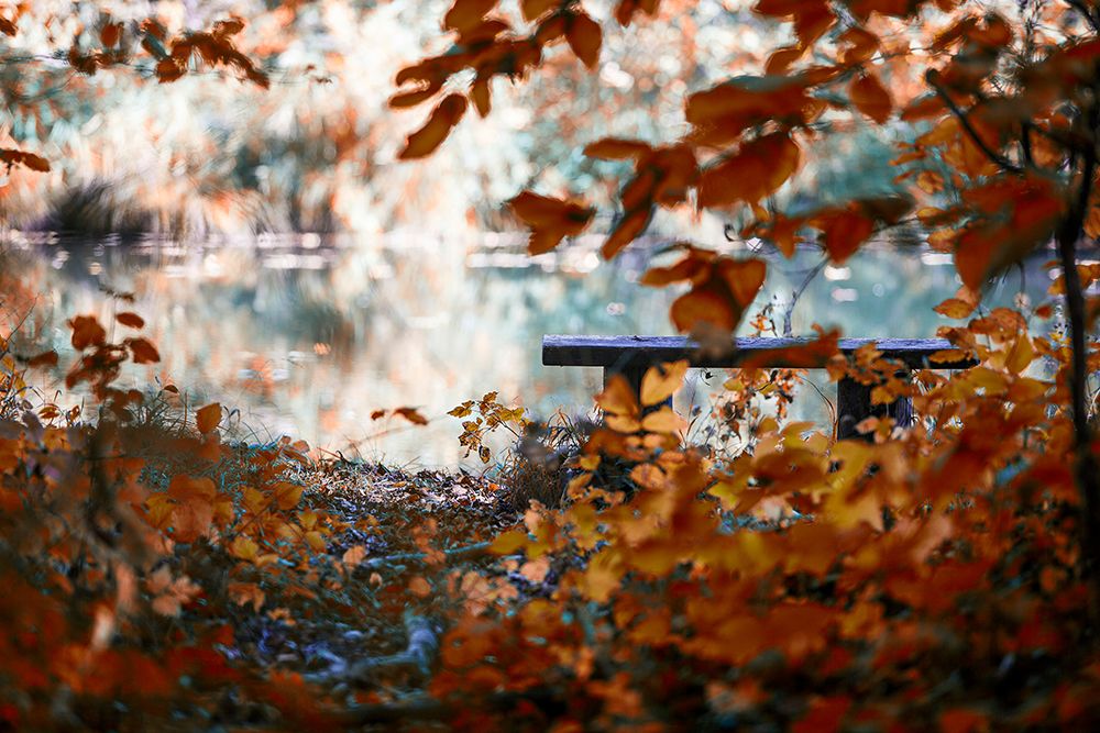 Lonely Place art print by Igor Vitomirov for $57.95 CAD