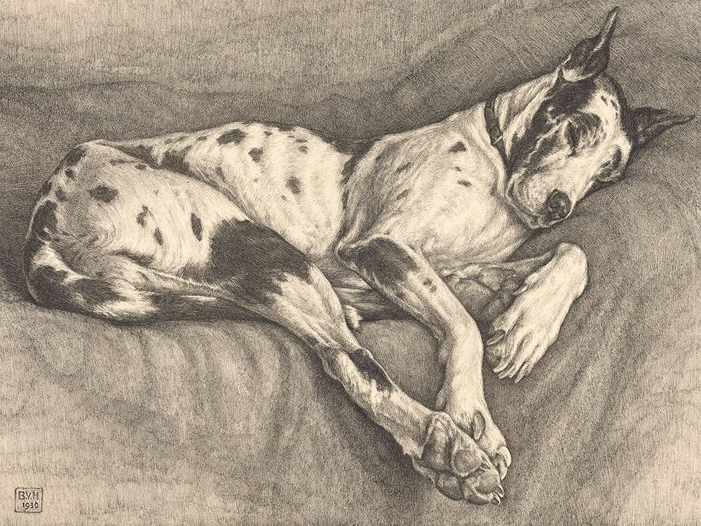Sleeping Hound, 1930 art print by Bertha Van Hasselt for $57.95 CAD
