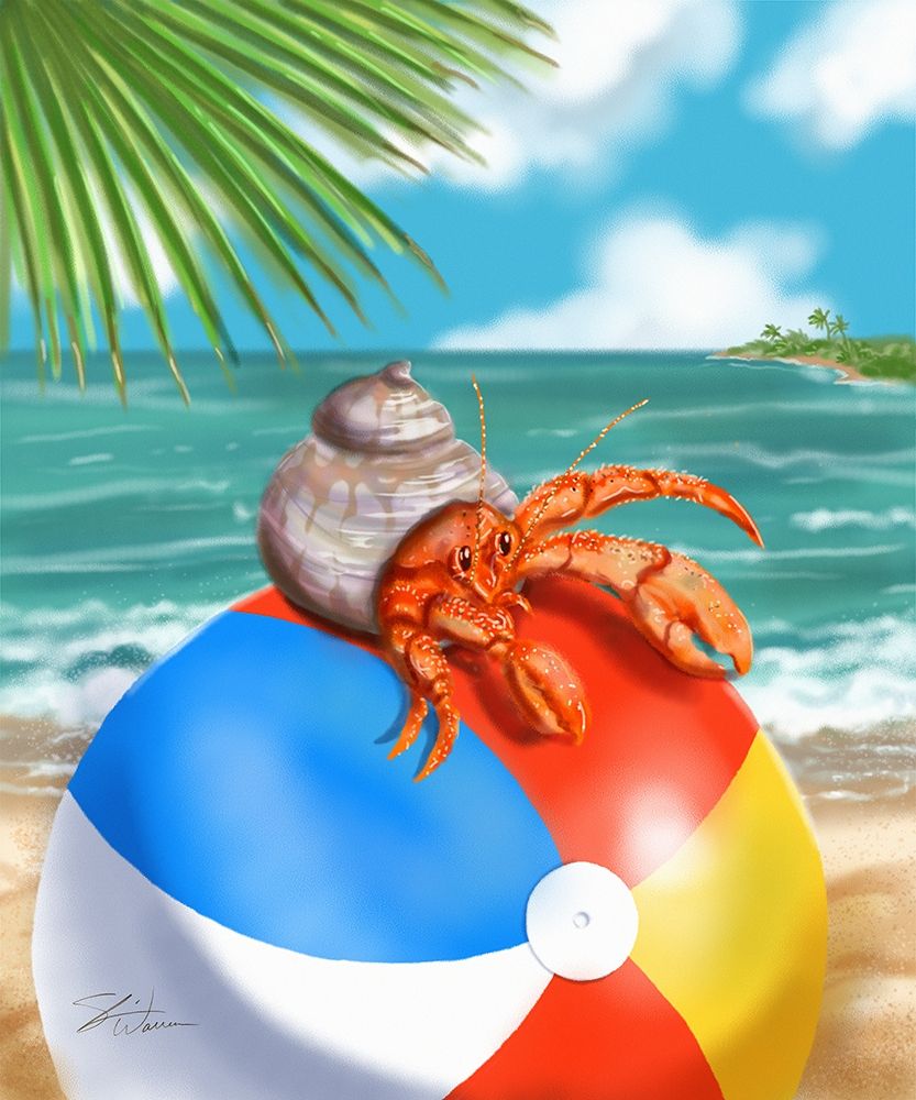 Beach Friends - Hermit Crab art print by Shari Warren for $57.95 CAD