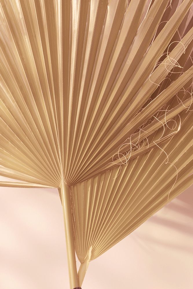 Pastel Fan 1 art print by Ian Winstanley for $57.95 CAD