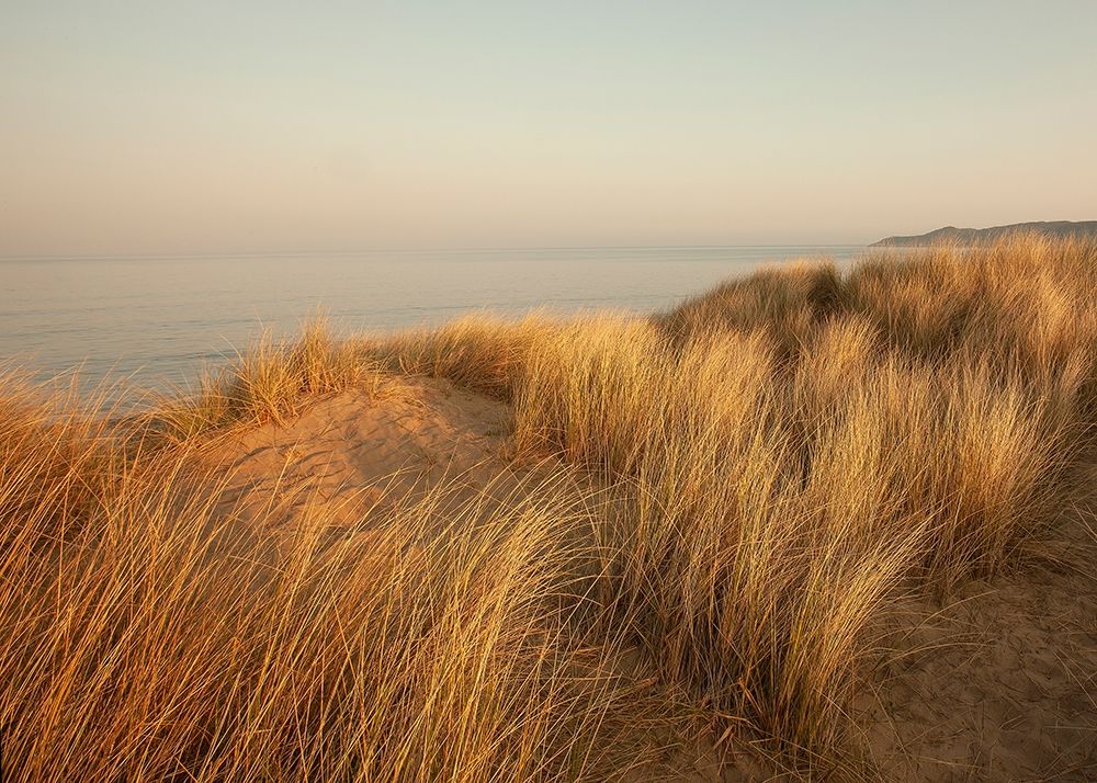 Dunes with Seagulls 7 art print by Ian Winstanley for $57.95 CAD