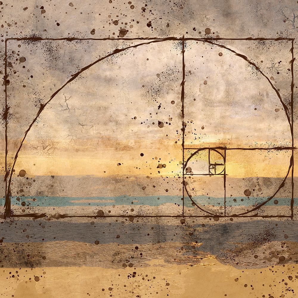 Fibonacci Shell art print by Marta Wiley for $57.95 CAD