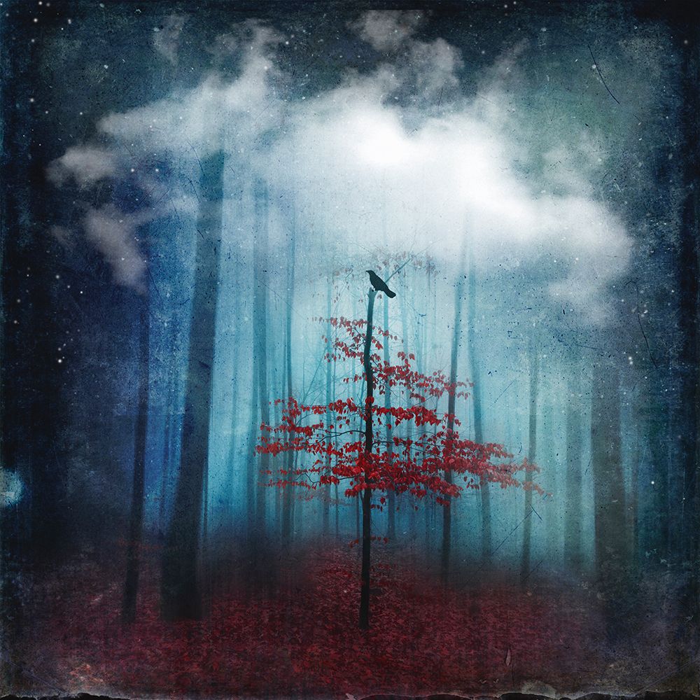 Dream State art print by Dirk Wustenhagen for $57.95 CAD