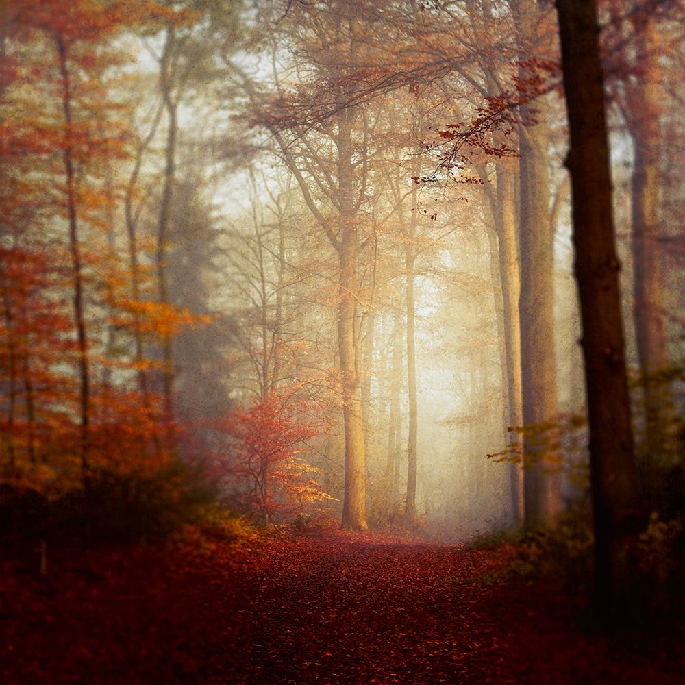Fall Hike art print by Dirk Wustenhagen for $57.95 CAD