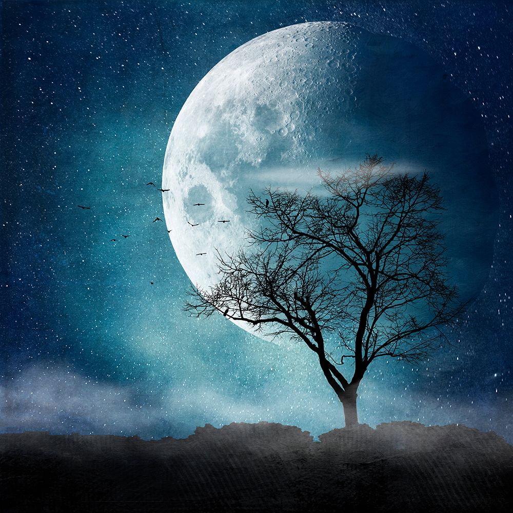 Moon Blues art print by Dirk Wustenhagen for $57.95 CAD