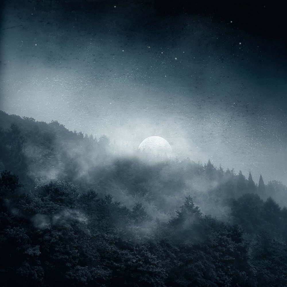 Night Shadows art print by Dirk Wustenhagen for $57.95 CAD