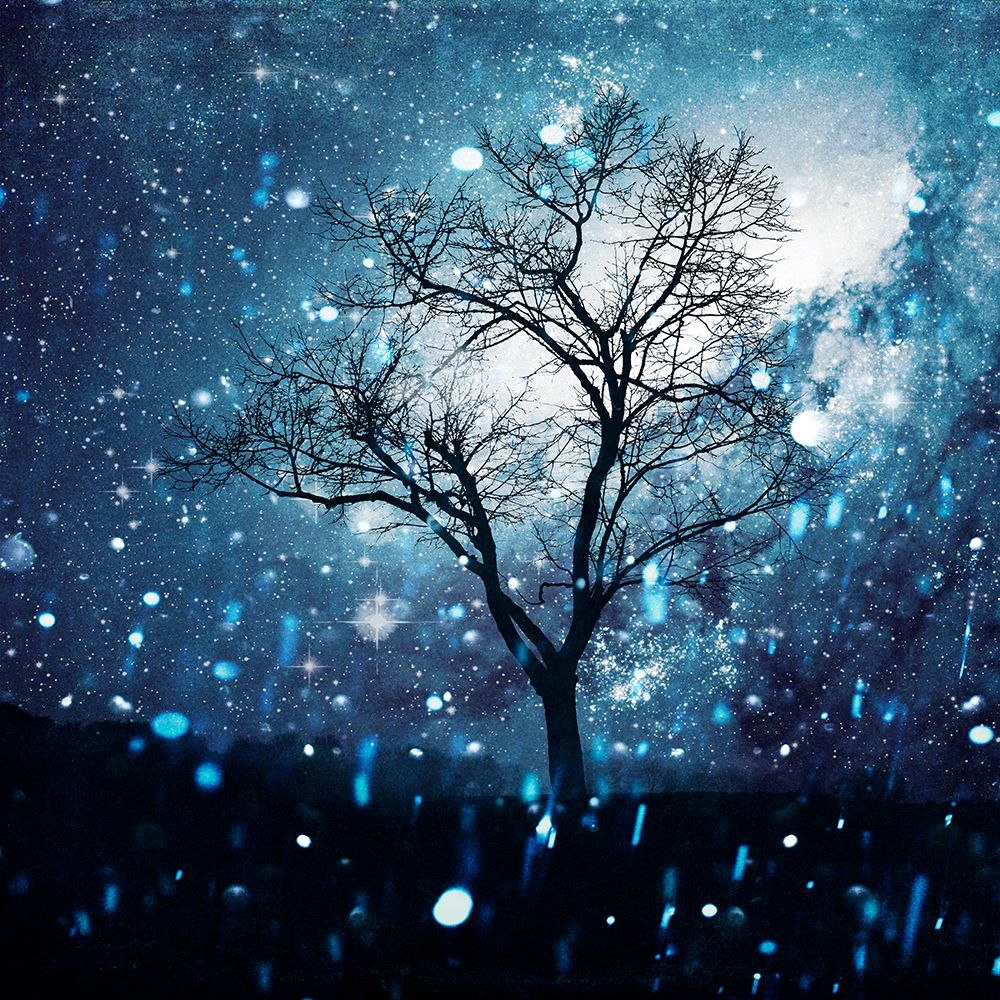 The Miracle Tree art print by Dirk Wustenhagen for $57.95 CAD