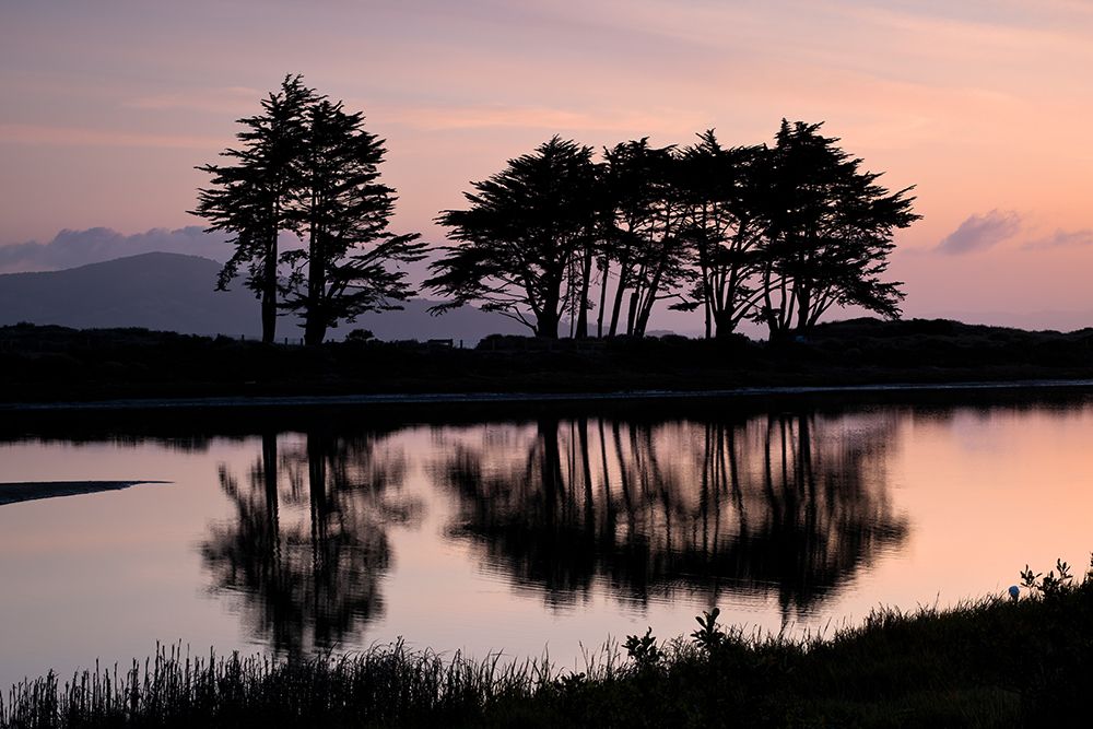 Crissy Field art print by Richard Wong for $57.95 CAD