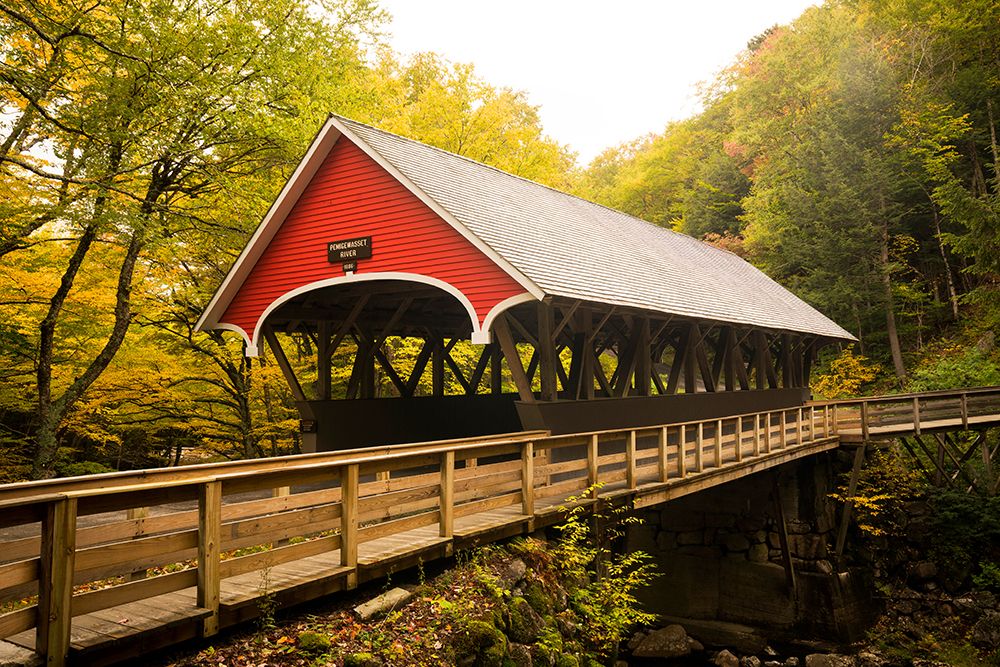 Flume Covered Bridge art print by Richard Wong for $57.95 CAD